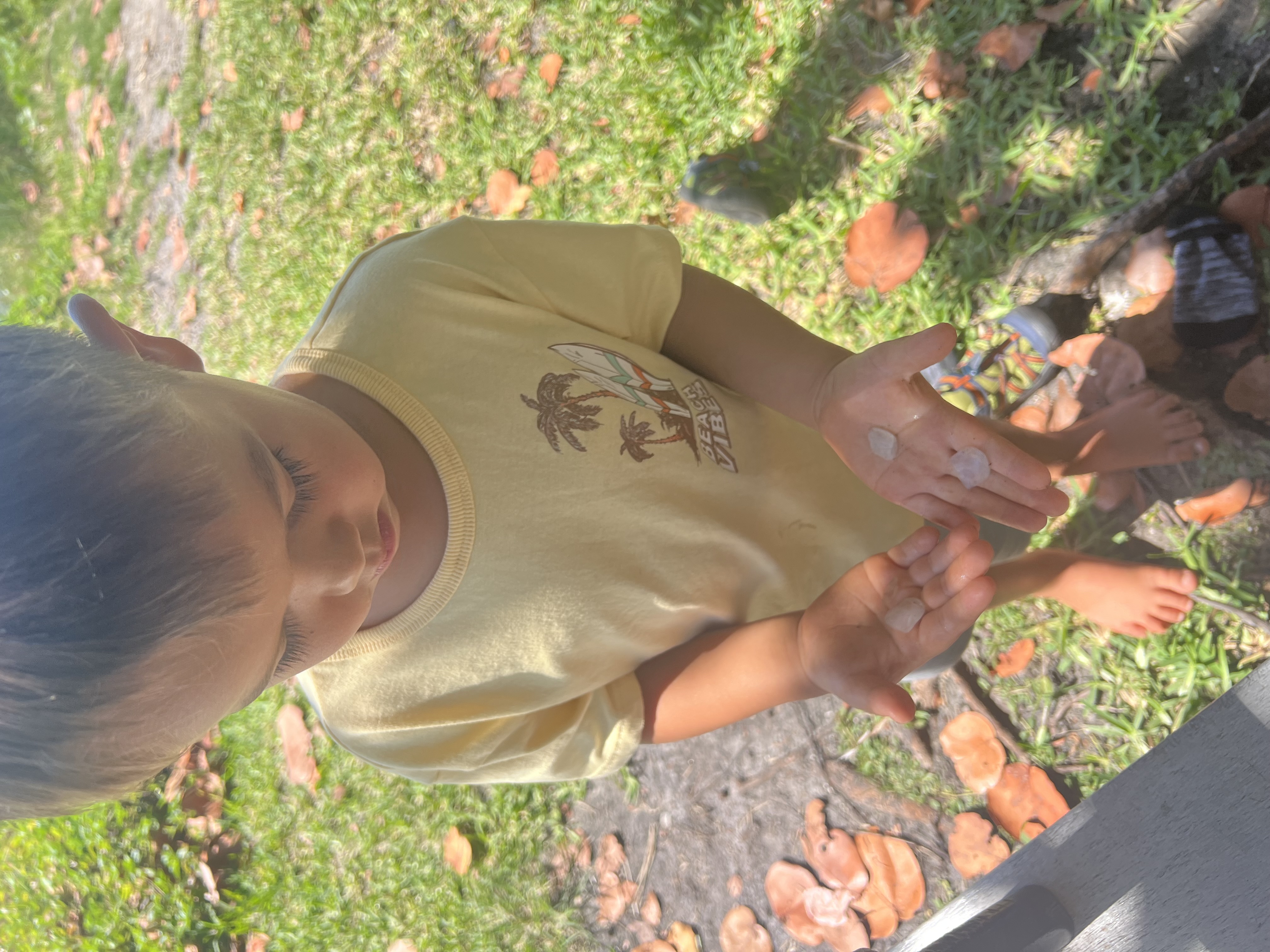 Secret Spots and Sea Snails