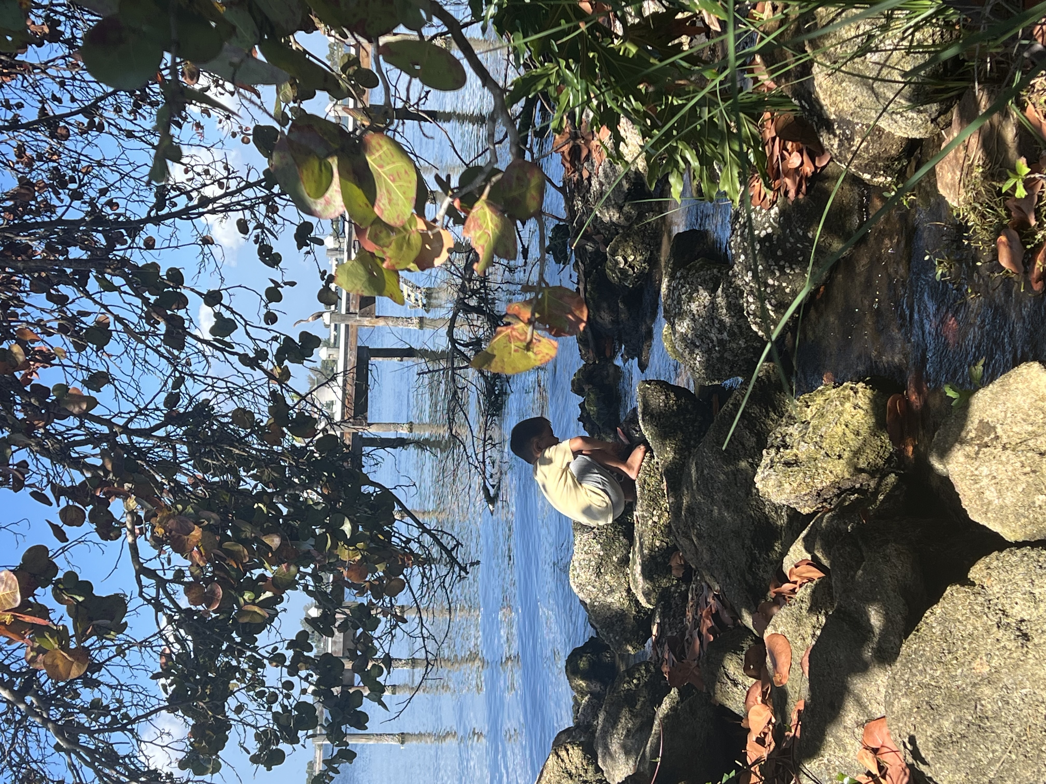 A boy crouches on river rocks beneath sea grape branches, exploring the water's edge