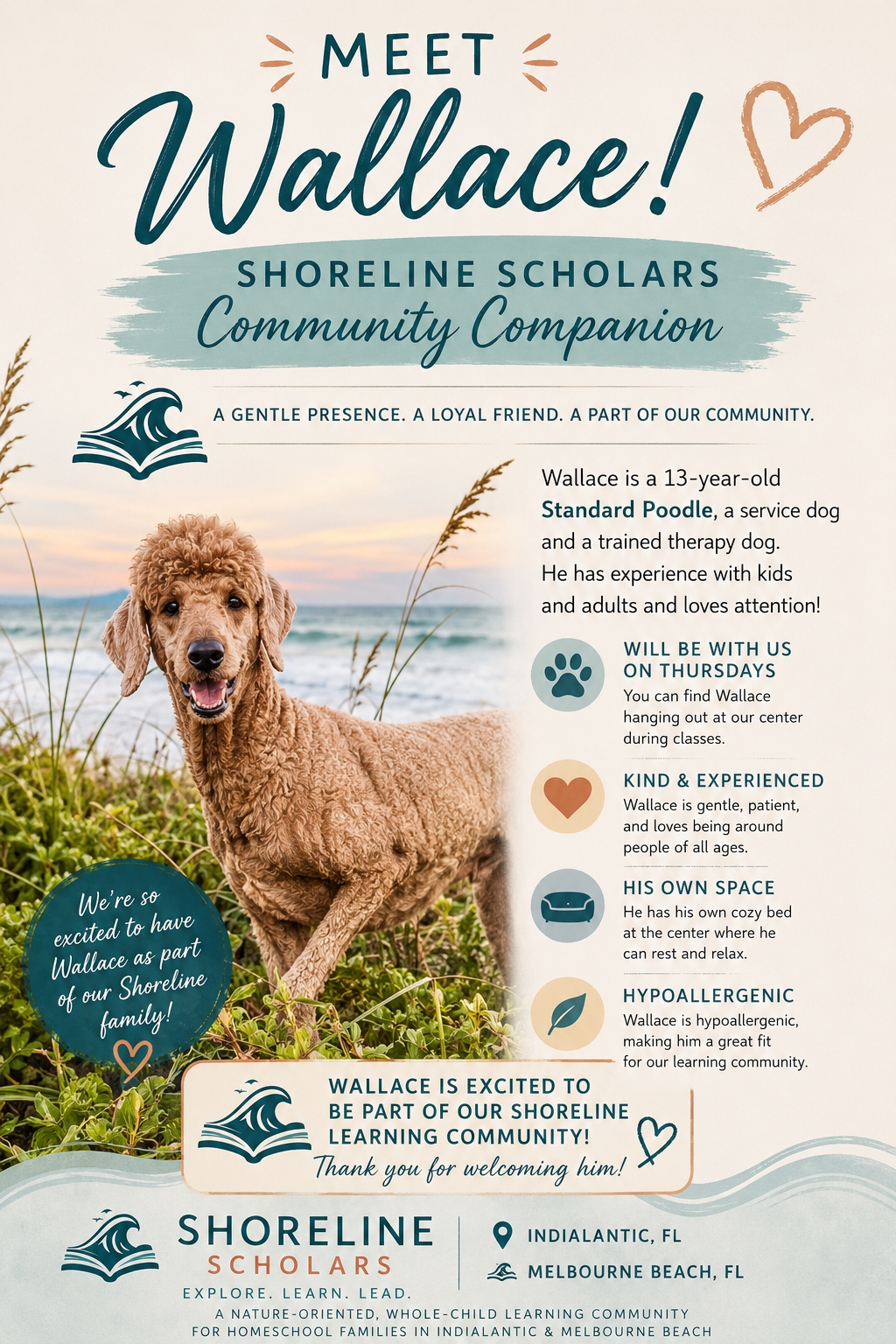Meet Wallace! Our Community Companion